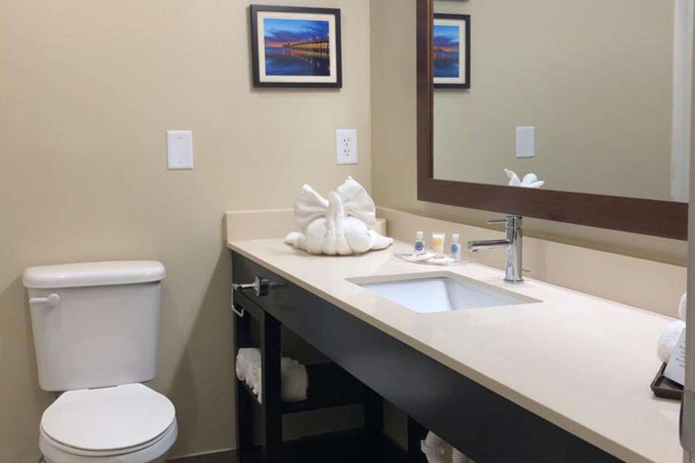 Comfort Suites Near Camp Lejeune Jacksonville Buitenkant foto