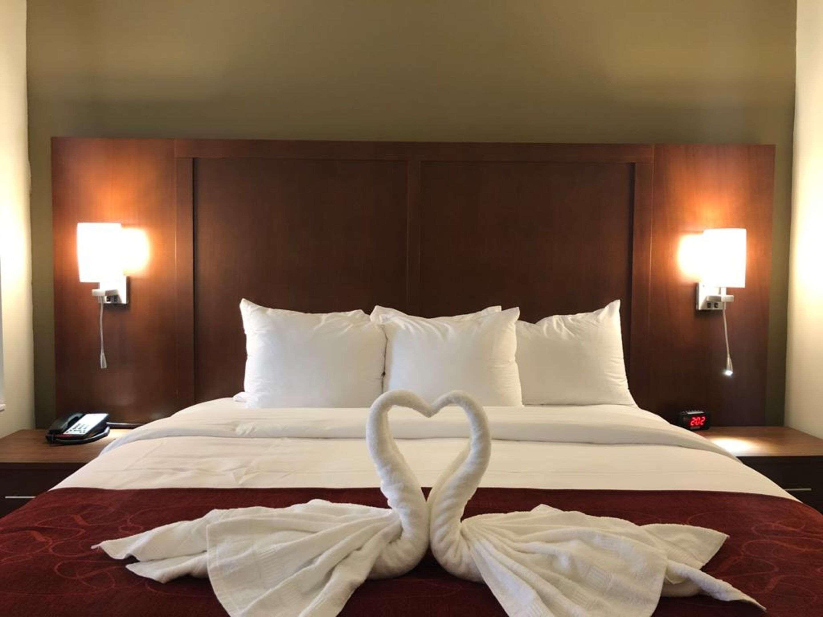 Comfort Suites Near Camp Lejeune Jacksonville Buitenkant foto