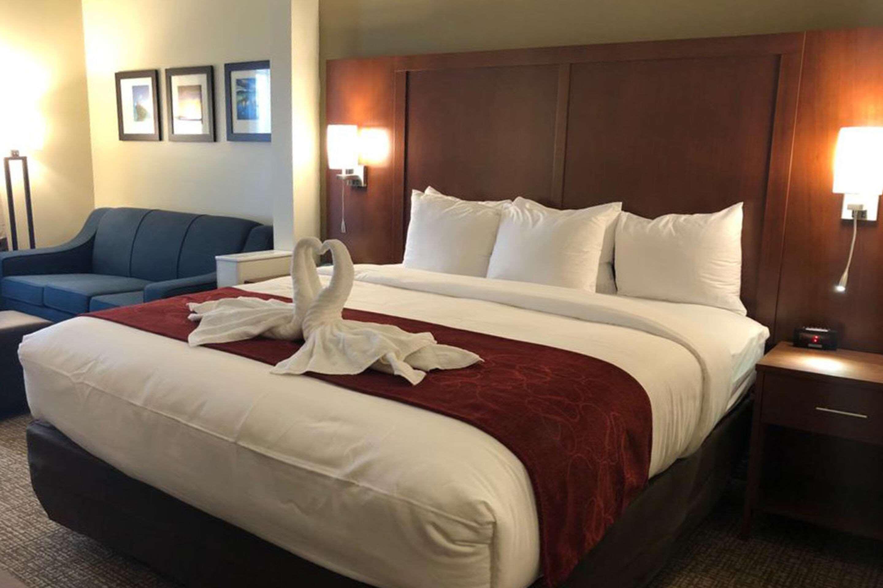Comfort Suites Near Camp Lejeune Jacksonville Buitenkant foto